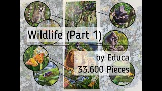 Educa Divočina Wild Life s najväčším počtom dielov na svete 33600 dielov