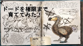 【ARK: Survival Evolved】ドードを極限まで育ててみたらすごい事になった！！（ Switch版）
