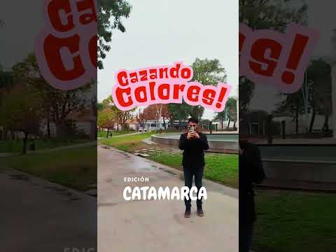 Cazando Colores  ❤️💚