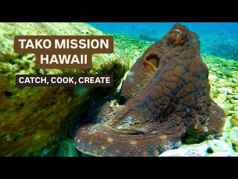 Tako Mission, Spearfishing in Hawaii | Catch, Cook, Create