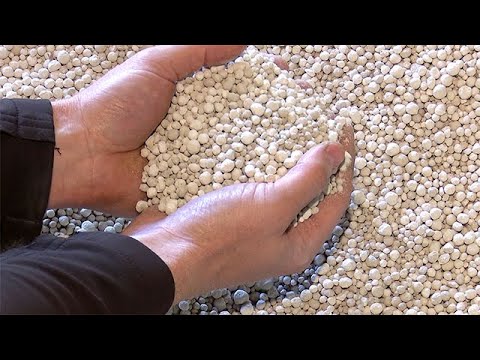 Einfach erklärt: Kalken von Flächen.