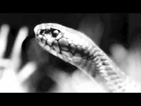 Video thumbnail for Så Hårt