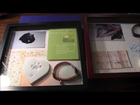 Pet Remembrance Box