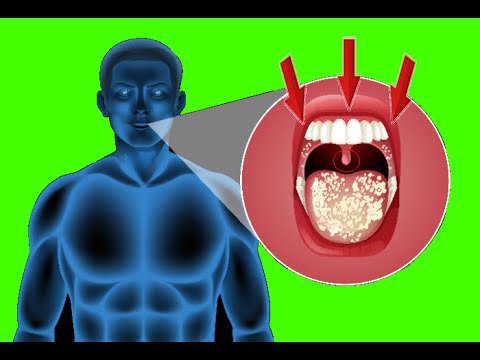 50 Facts About The Body You Must See