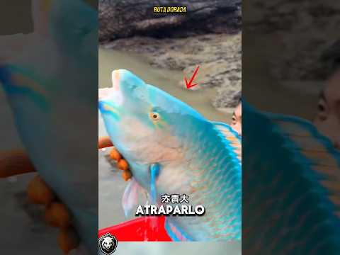 THEY FIND SOMETHING STRANGE WHEN FISHING IN THIS WELL! "South of China"