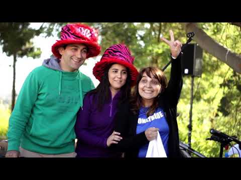 Banchile - Día del Seguro 2017