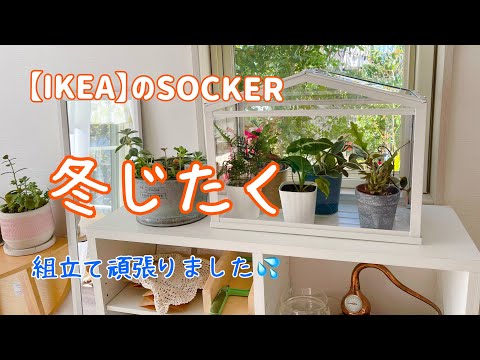 バルコニー用のミニ温室を自分で組み立てる トピックス