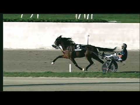 Napoli Trotto 14/10/2022 - 5ª corsa