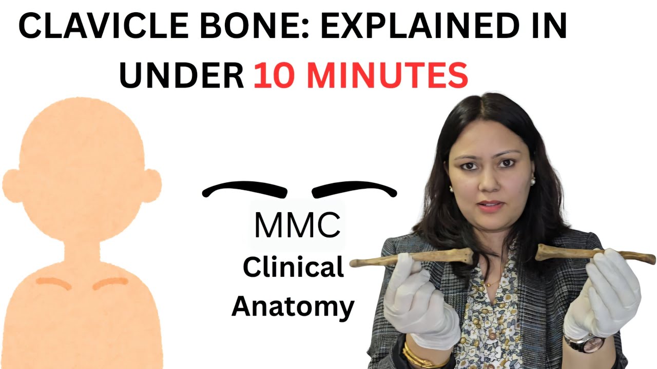 Clavicle Bone: Explained Thumbnail