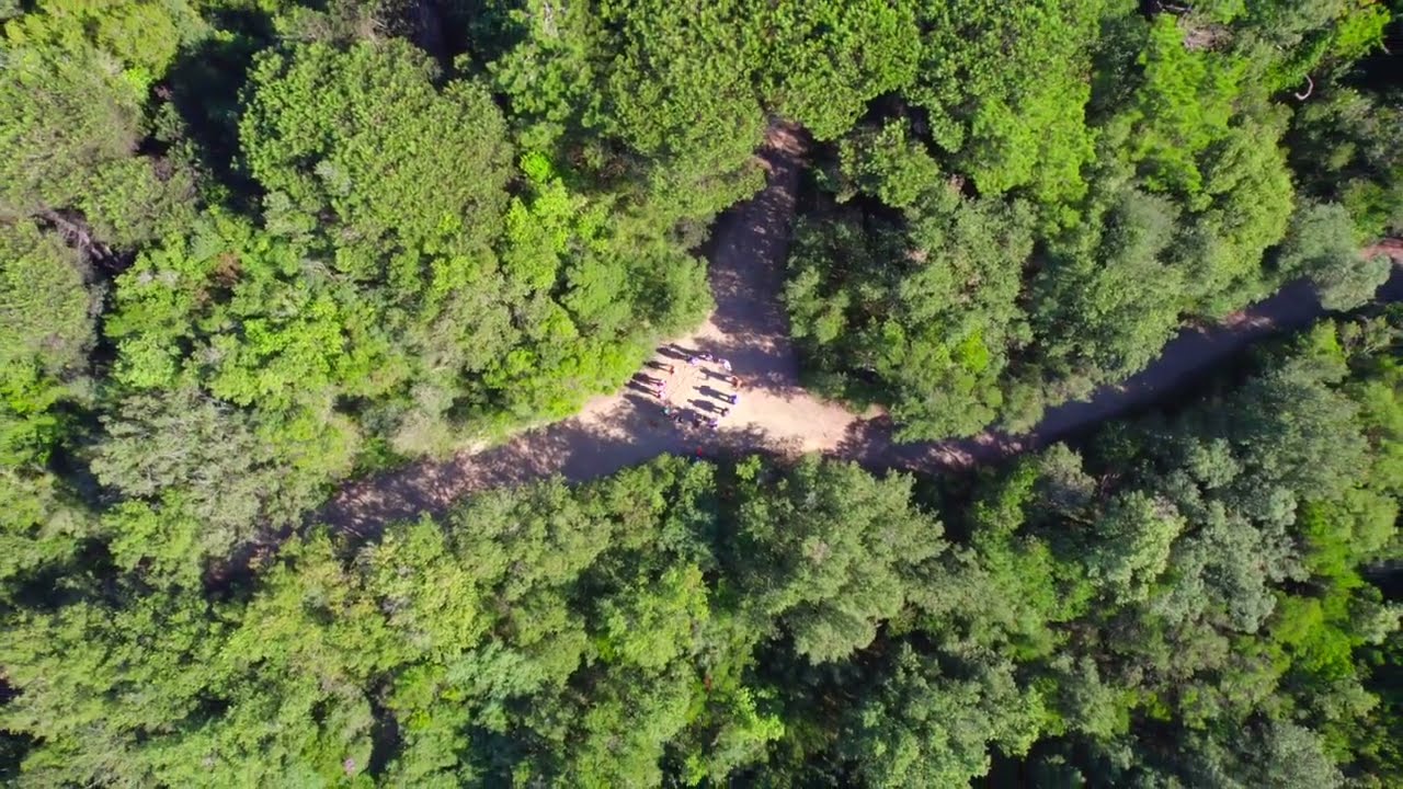 Una palestra in Pineta