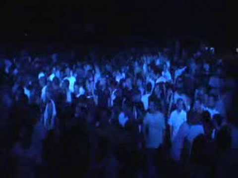 dal.ly bran-k 2008 petra