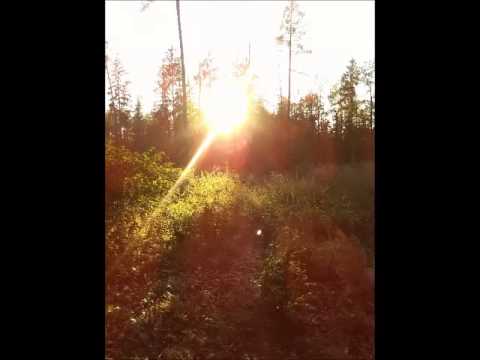 Skyteasee - SKYTEASEE - Whoever does the will of God lives forever.