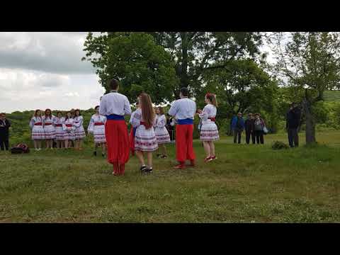 Festivalul Bujorului, Fântâna Mare, Tulcea