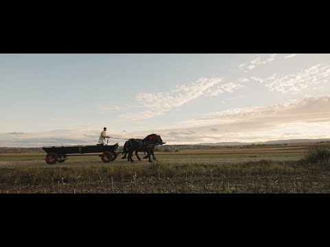 Calin Brateanu  - Lung ii drumul la Cacica