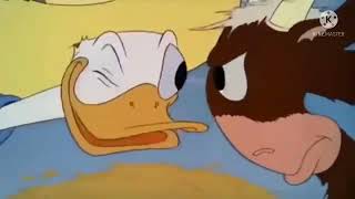 Download lagu Kartun Donal Bebek Lucu mp3