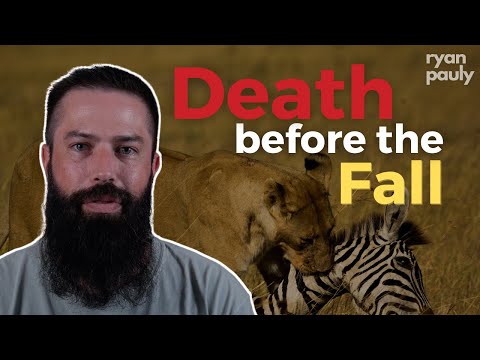 God called his creation "very good." How was there death?