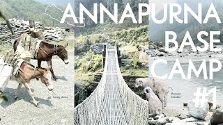 ネパール旅行🇳🇵アンナプルナベースキャンプトレッキング🏔️ #1｜海外ひとり旅｜ABC trekking 6 days｜Nepal vlog ep.1