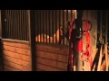 PRINCESS AND THE PONY TRAILER