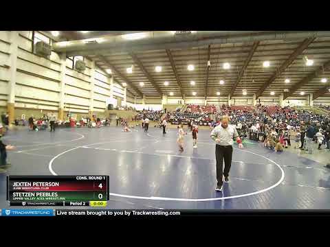 59 Lbs Cons. Round 1 - Jexten Peterson, Juab Wrestling Club Vs Stetzen Peebles, Upper Valley Aces