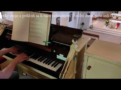 Ó, Božské Srdce, Srdce plné lásky