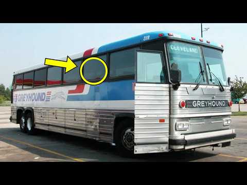 Woman Buys Greyhound Bus And Turns It Into Her Home - Check Out The Inside