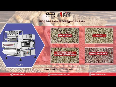 AMD® P-LGS4 AI-based Raw Blanched/Peeled Peanuts Color Sorter Machine for Skinless Groundnut Sorting