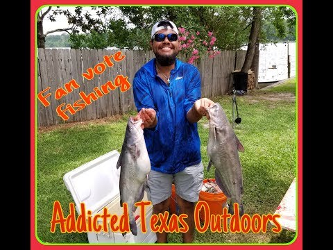Aaron Z.  *** Preview **** Youtube fan Fish trip winner