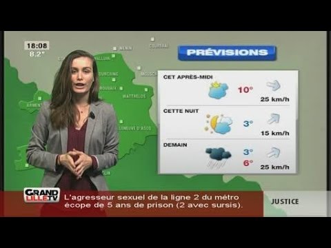 Les Prévisions Météo du 12 Janvier 2016 (Lille)