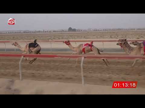  ش 9 (الشاهينيه) لـ خليفه بن سبعين المحرمي 3:00 ، شارة الصندوق 2026/08/24 فطامين سويحان