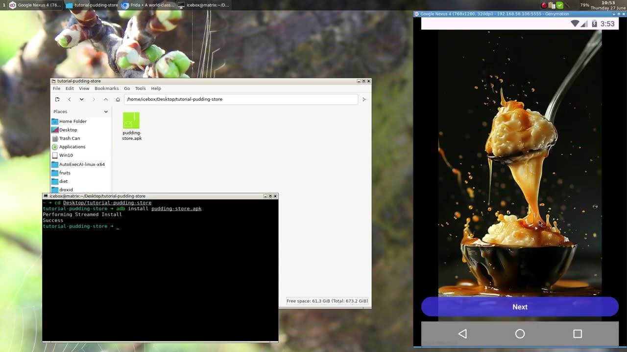 Reverse engineer and dynamically modify an Android application using Frida