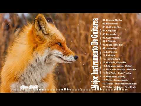 Las 100 Melodias Orquestadas Mas Bellas de Todos Los Tiempos  - Guitar Grandes Éxitos Instrumentales