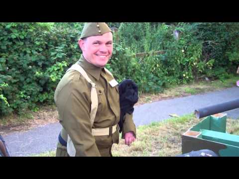 Dad's Army Tavistock Lions Carnival (Devon )