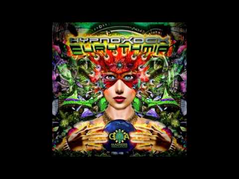 Hypnoxock: You Have To Find a Brain (Official)