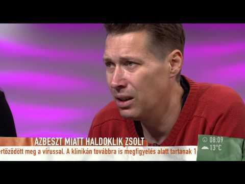 Évekbe is telhet az azbeszt-károsultak ügyének lezárása - 2014.10.20.Hétfő - tv2.hu/mokka