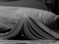 Nino D'Angelo - Proviamo Ancora