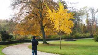 Download lagu Abrar ul Haq , Ni Me Hasyan vich yaar mp3 Download lagu Abrar ul Haq , Ni Me Hasyan vich yaar mp3