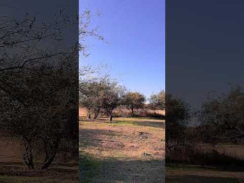 VENTA TERRENO EN COUNTRY EL TERRON, MENDIOLAZA, CORDOBA