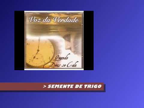 Semente de Trigo - Voz da Verdade
