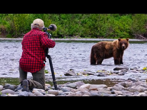 I Spent 45 YEARS Filming Grizzly Bears... Here's What I Saw