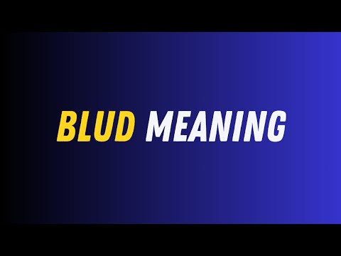Blud Tiktok Meaning