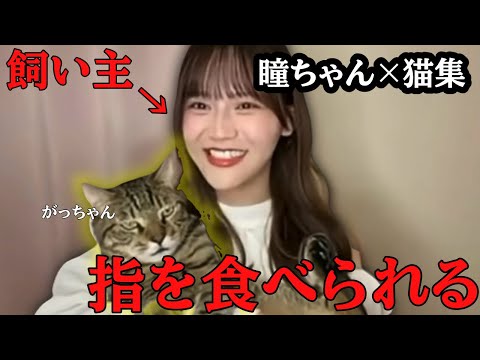 【イコラブ】猫好き髙松瞳と猫ちゃん集🐱💕飼い猫に食べられる😼🤲🏻