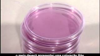 Investigação de micro-organismos por meio de cultivo e observação de fungos e bactérias