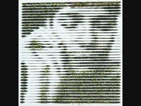 Damon Wild - Jackass