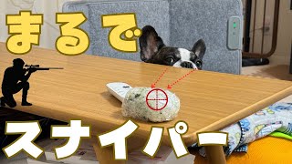 狙った獲物は逃さないフレブル😎