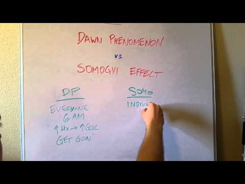 Dawn Phenomenon vs Somogyi Effect