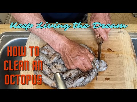 HOW TO CLEAN AN OCTOPUS