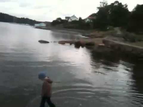 Bondens ko har drunknat