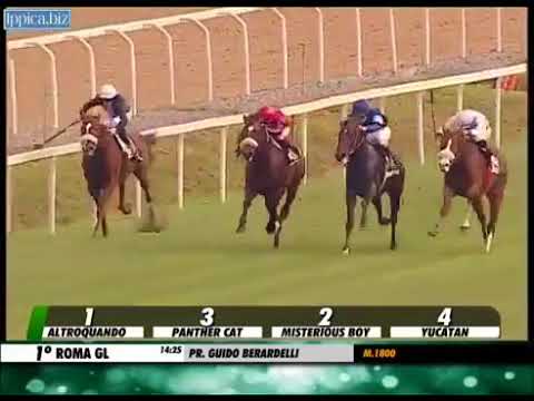 Misterious Boy - Premio Berardelli, Gr.3