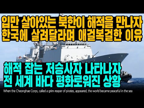 입만 살아있는 북한이 해적을 만나자 한국에 살려달라며 애걸복걸한 이유
