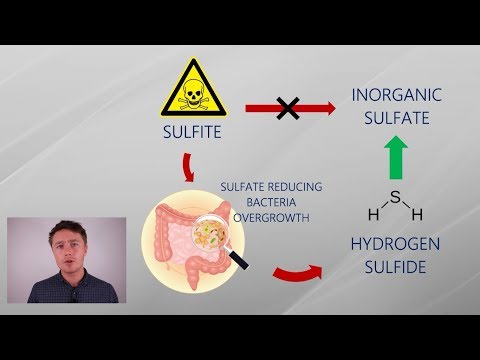 a dysbiosis elhal a tüneteken)